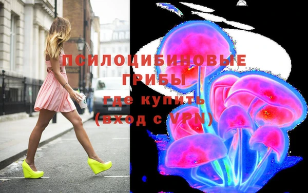 не бодяженный Горно-Алтайск