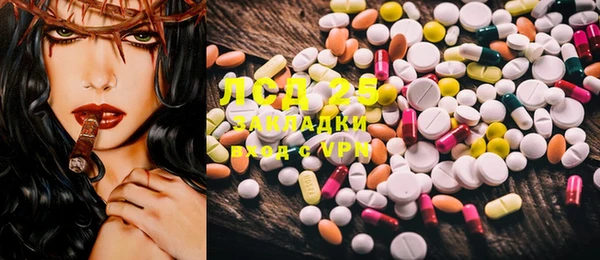 ECSTASY Горняк