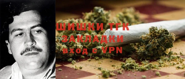 не бодяженный Горно-Алтайск