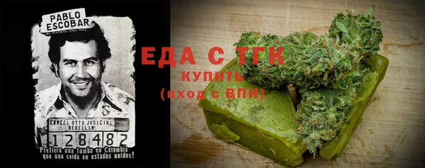 ECSTASY Горняк